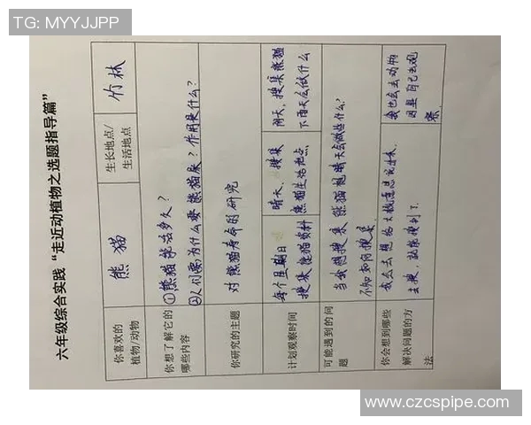 成都足球队心理素质提升之路探讨与实践分析