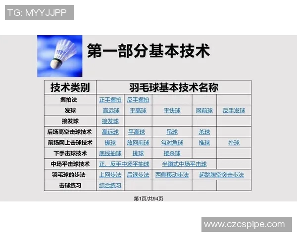 深入分析西安羽毛球队的进攻战术与技术特点探讨